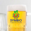 Ly quai bia Hiệu Prim Union UG-131 in logo làm quà tặng doanh nghiệp - Ảnh 2