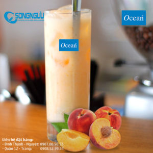 Ly thủy tinh cafe New York 340ml