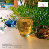 Ly quai trà đá in logo giá rẻ - Ảnh 2